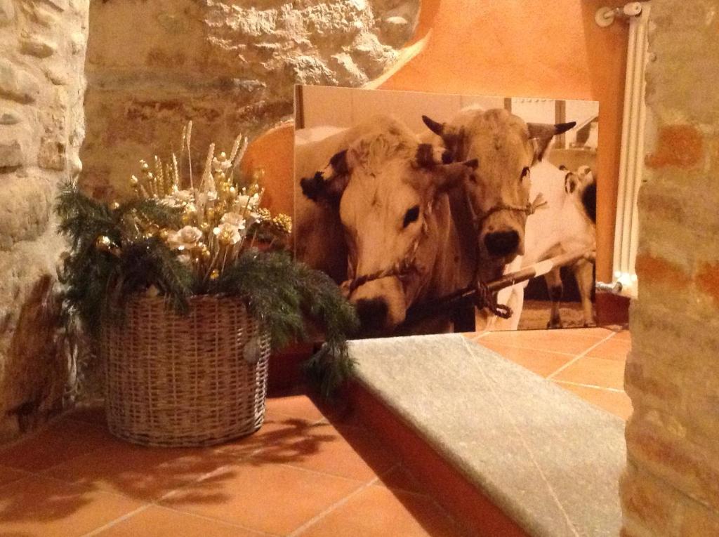 Fotografie z fotogalerie ubytování Hotel Palazzo Di Mezzo v destinaci Carrù