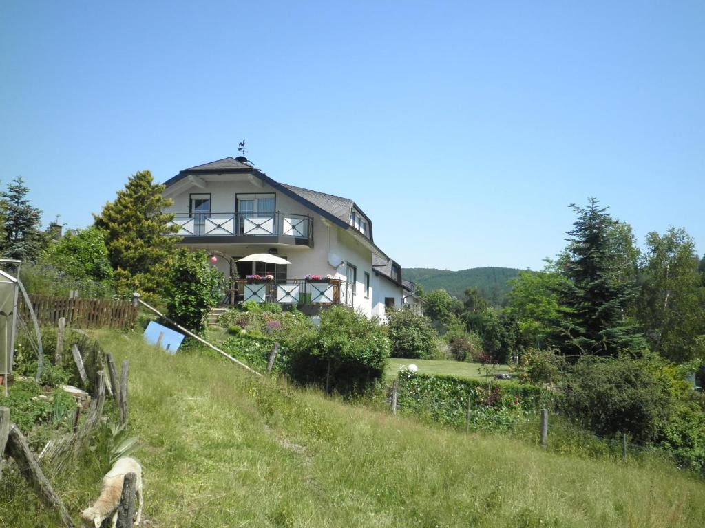 una casa en una colina con una oveja en un campo en FEWO Jäger, en Willingen