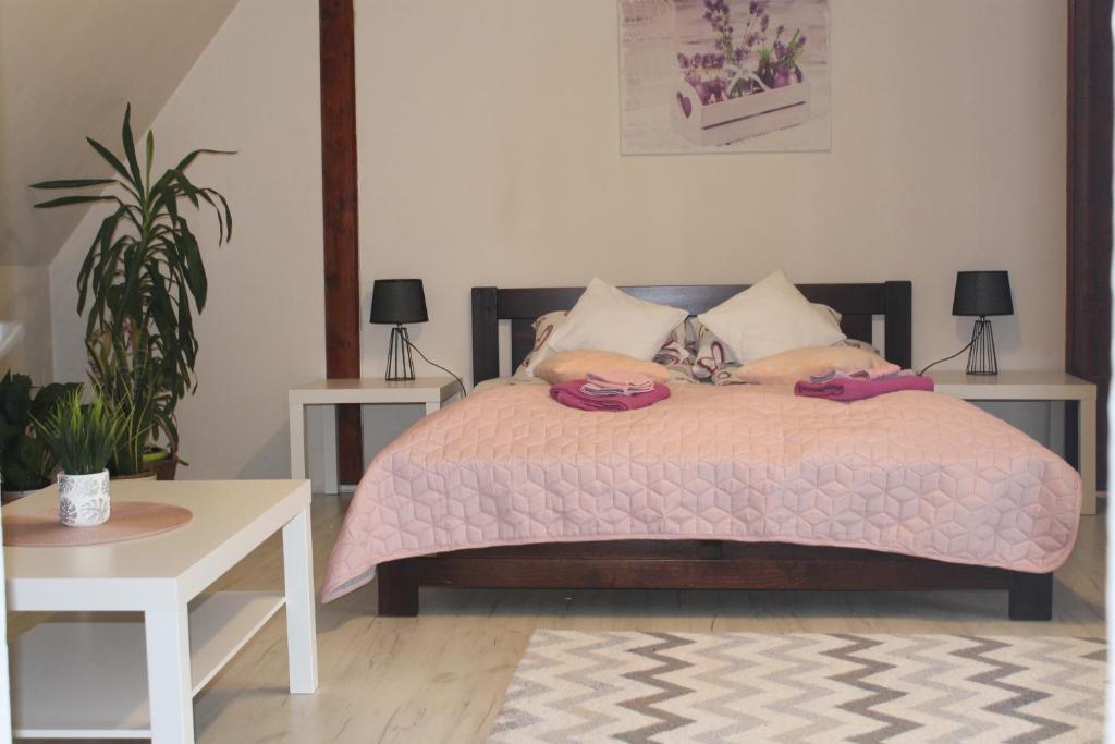 Posteľ alebo postele v izbe v ubytovaní Apartamenty "U Elżbiety"