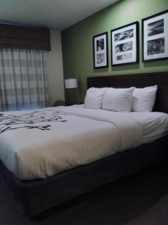 Sleep Inn Summersville - New River Gorge Area - スタンダード 1 クイーンルーム