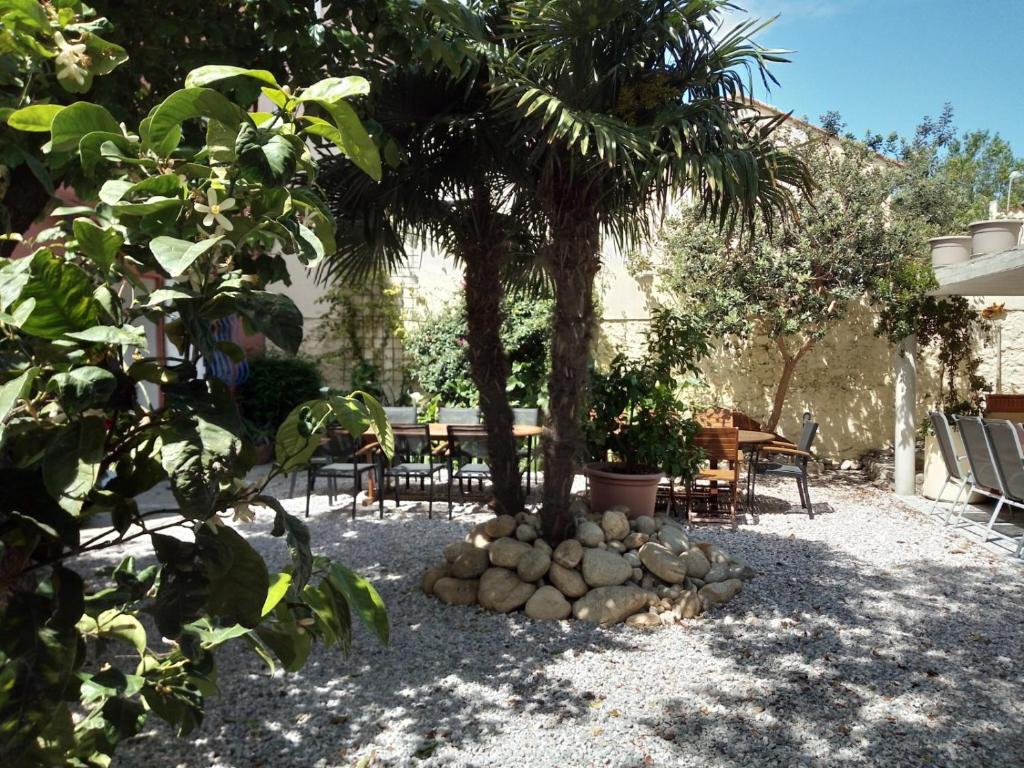 a garden with a palm tree and a table and chairs at L&#39;Orangeraie in Elne