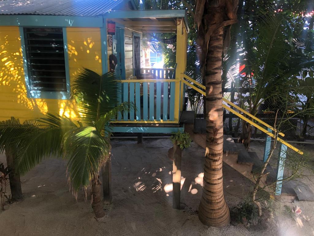 a yellow house with a porch and a palm tree at Colinda Cabanas in Caye Caulker