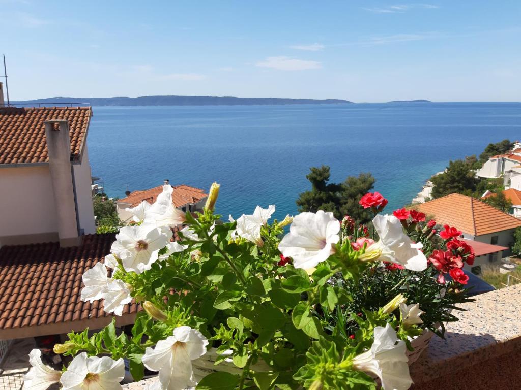 Villa Kovačević - 16