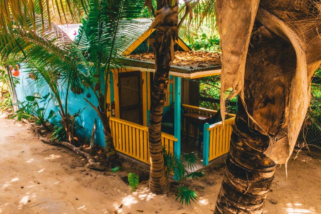 a small house with a palm tree in front of it at Colinda Cabanas in Caye Caulker