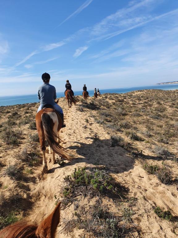 Quinta Pedra Dos Bicos - Resim 33