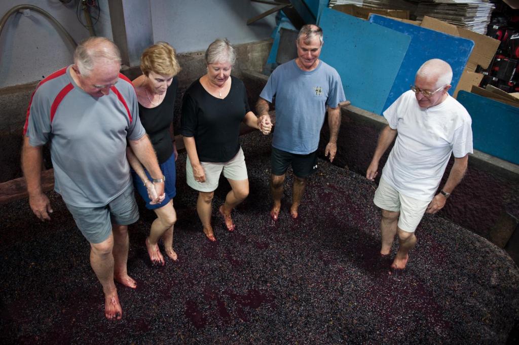 Quinta de Marrocos - 16