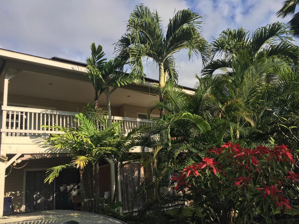 a house with palm trees in front of it at The cozy big studio -30 days in Kailua-Kona