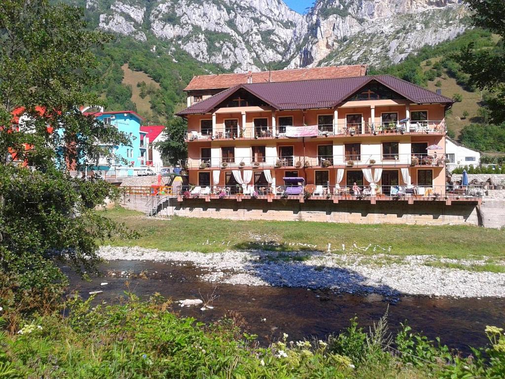 un edificio con un río frente a una montaña en Pension Camelia, en Băile Herculane