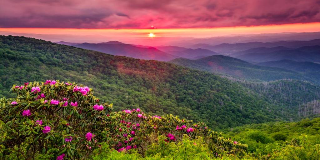 Microtel Inn & Suites Dillsboro/Sylva photo