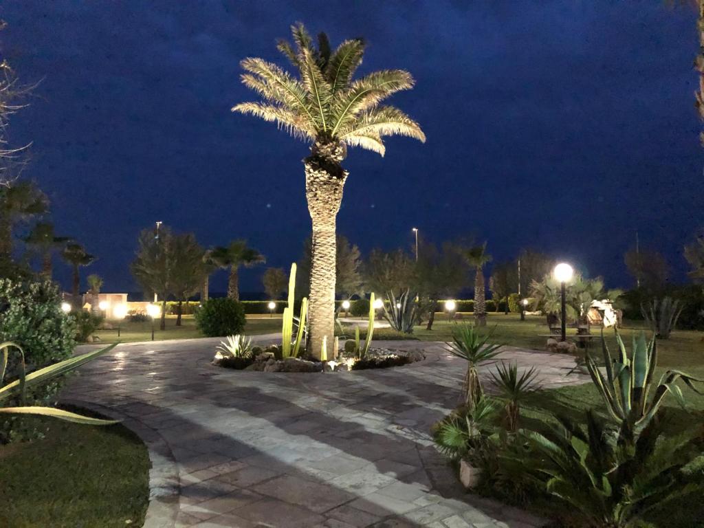 a palm tree in a park at night at Kalì B&B in Bari