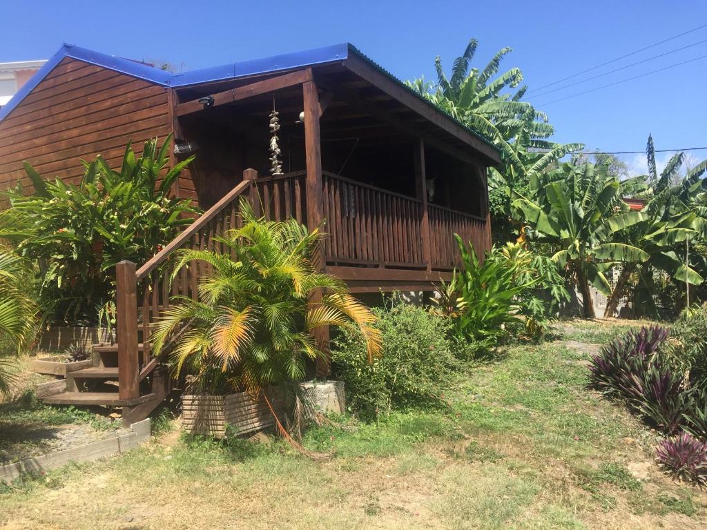 Zahrada ubytování BUNGALOW La Tortue Bleue