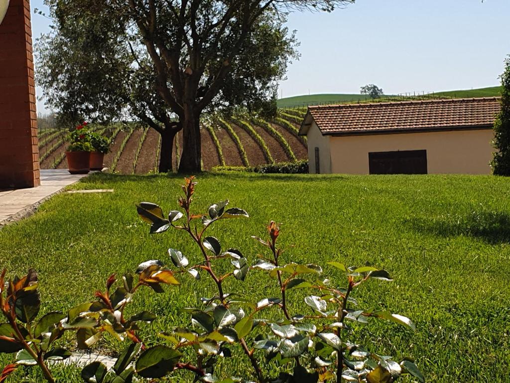 Zahrada ubytování Agriturismo Severini