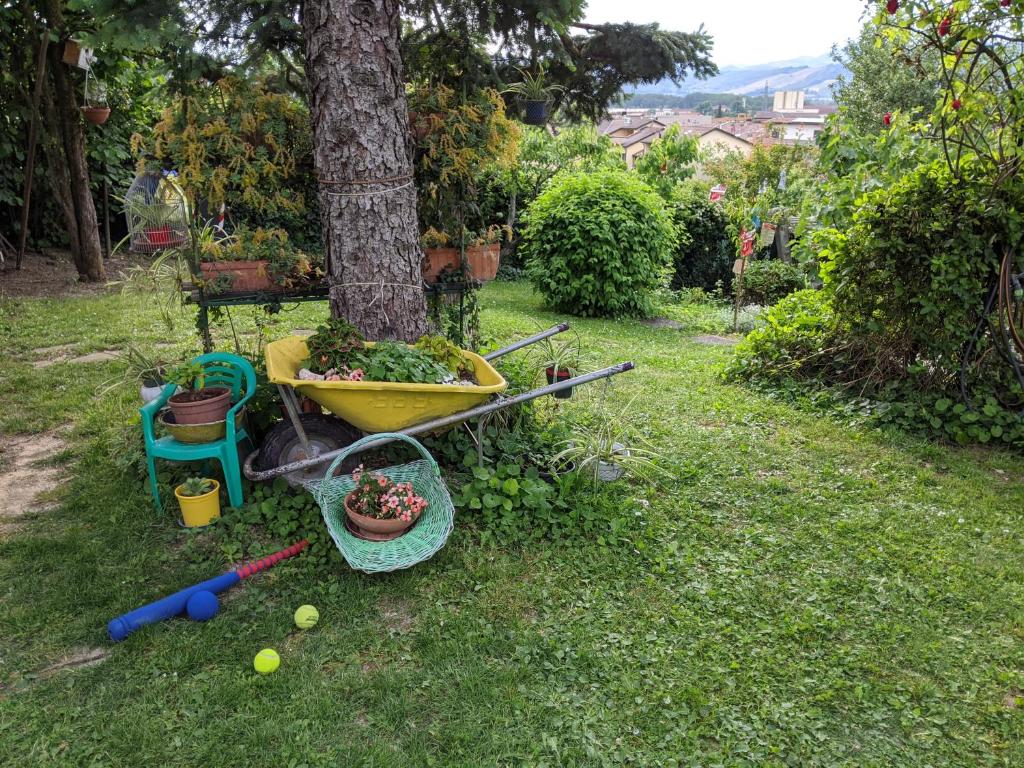 Ogród w obiekcie Nel giardino di Oz