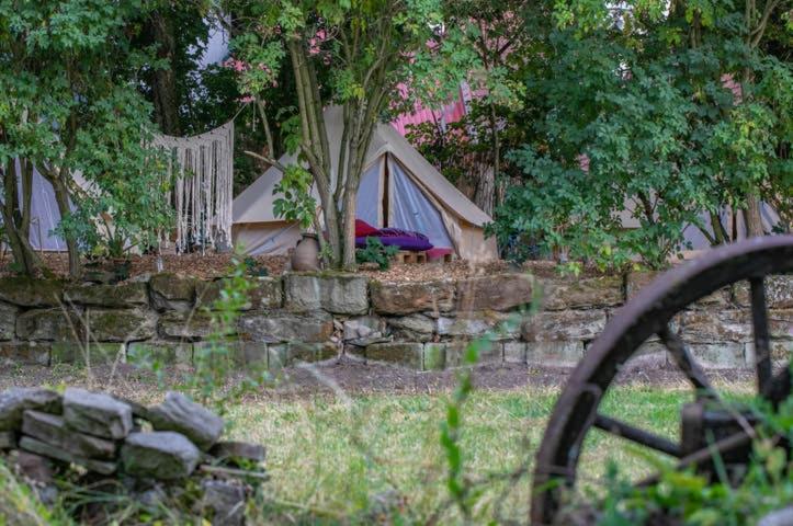 Gallery image of Into the Green Glamping - Great Hazelnut in Markt Nordheim