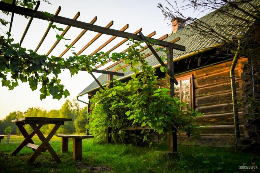 a picnic table next to a wooden cabin at Domek z bali Roztocze in Sieniawa