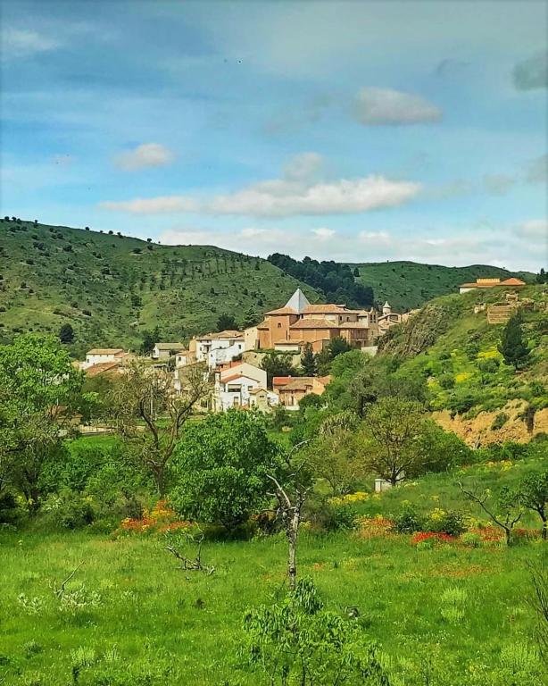 Espacios Del Mundo, Carenas – Updated 2022 Prices