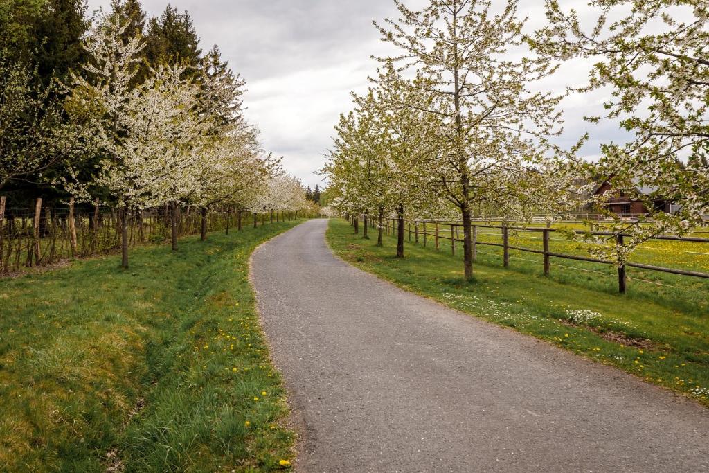 Paesaggio naturale nelle vicinanze dell'affittacamere