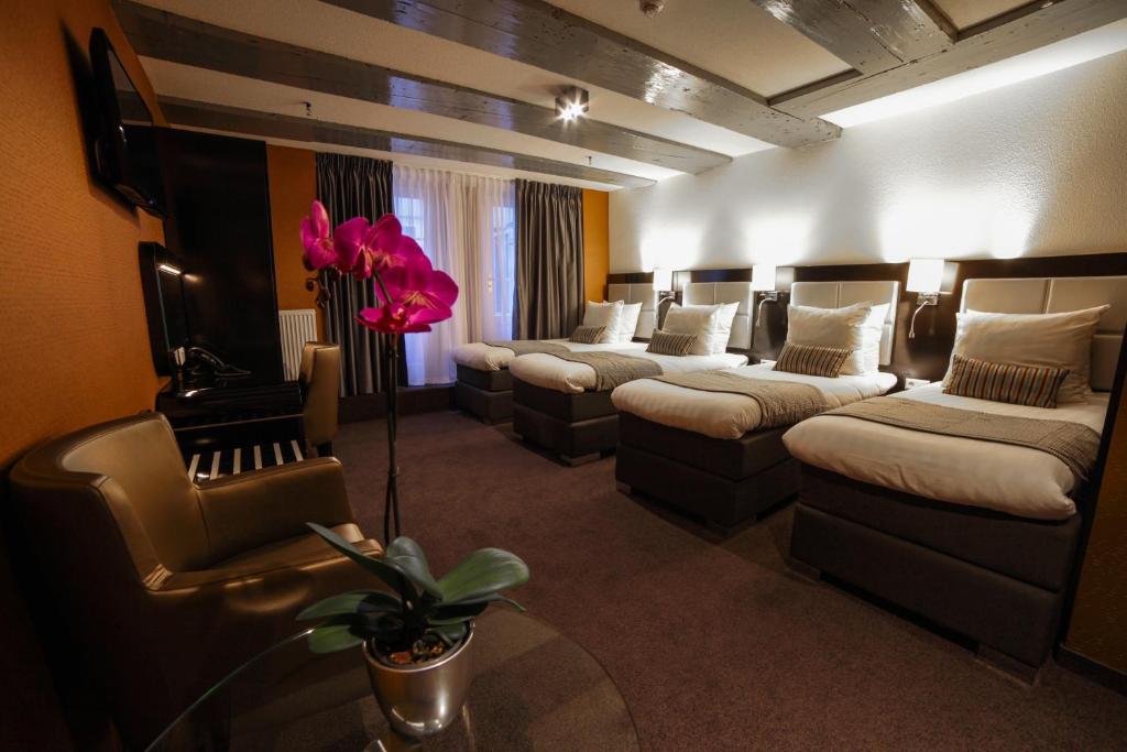 Hotel Mansion - Resim 15