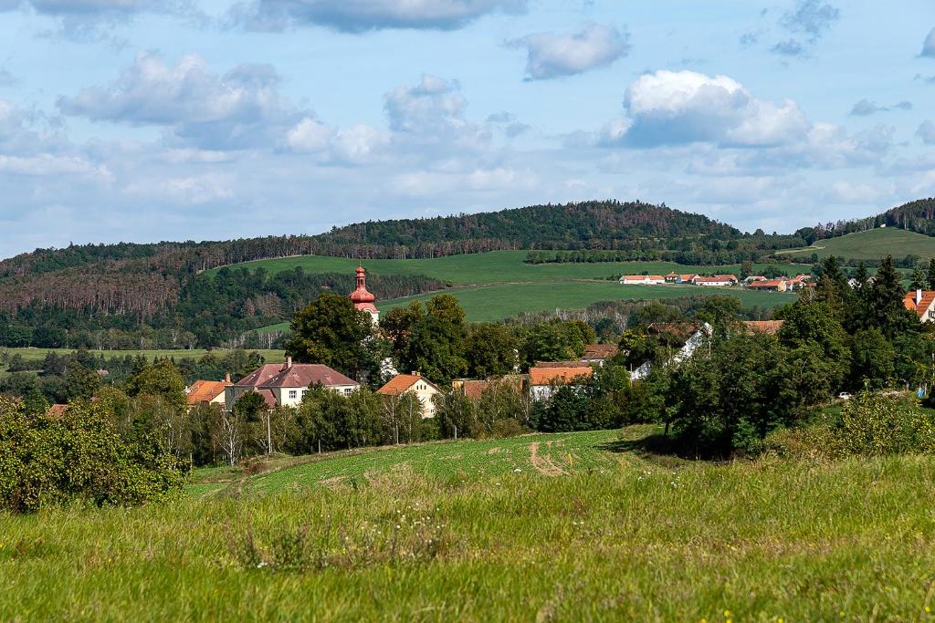 Przyroda w pobliżu tego apartamentu