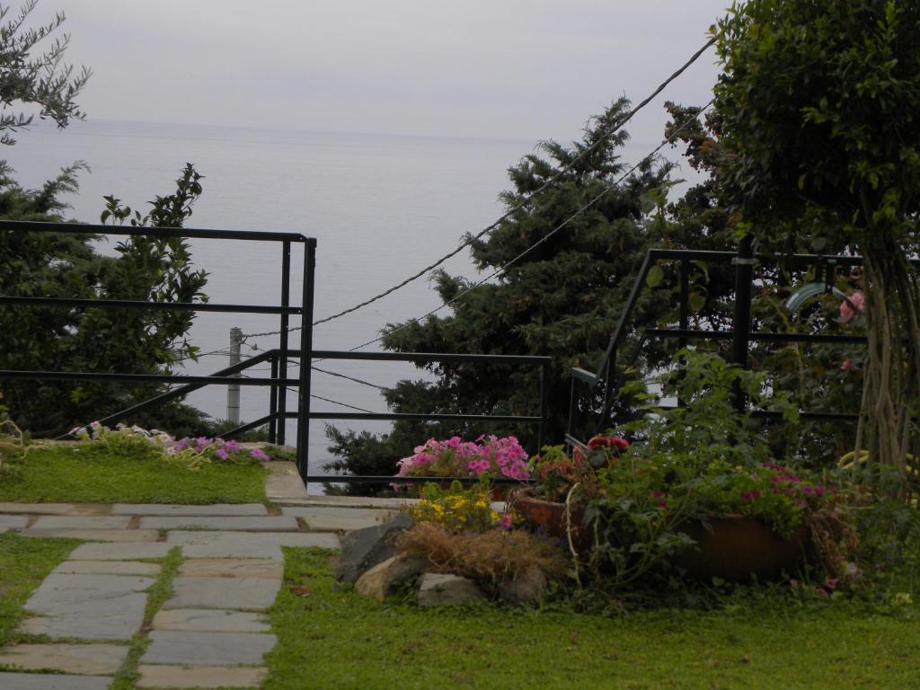 a garden with a gate and some flowers at Corte Del Gallo in Corniglia