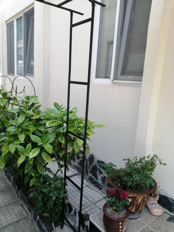 A garden outside Top Center Apartment and Rooms Varna