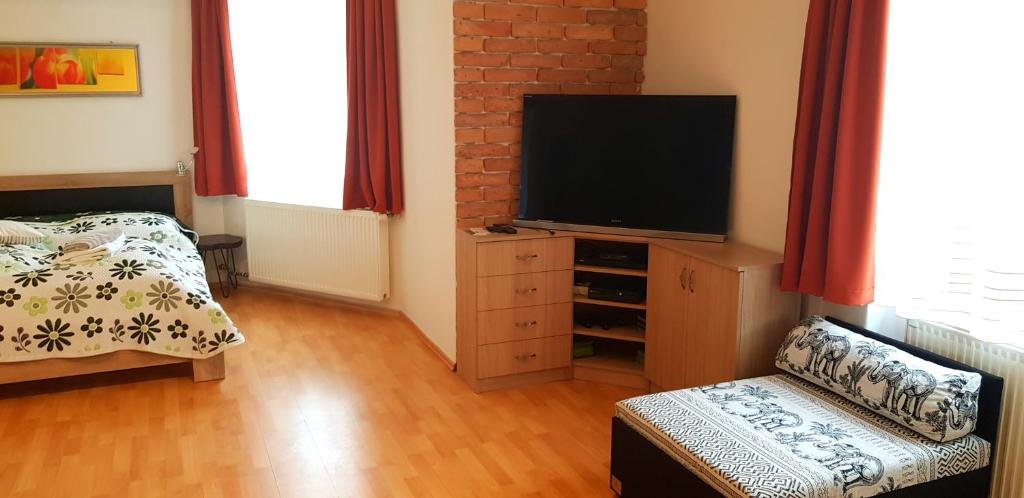TV a/nebo společenská místnost v ubytování Haus Elena am Semmering