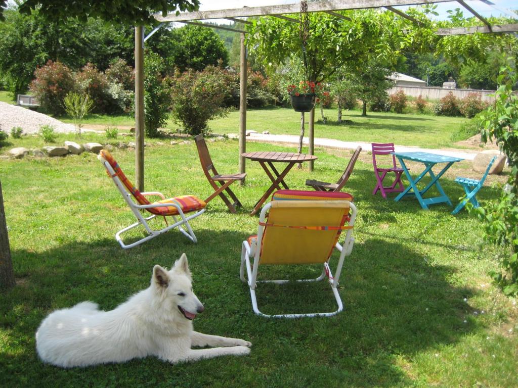a white dog laying in the grass next to chairs and a table at Les Egals in Saint-Jean-du-Bruel