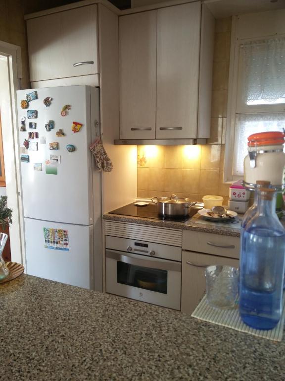 Kuchyň nebo kuchyňský kout v ubytování ALBERES 61-B EmpuriaRent