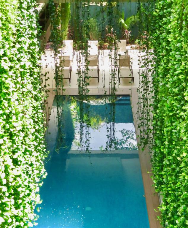 an overhead view of a pool with chairs and plants at Palmarena Rooms & Residences - Long Stay Comfort with Parking, Sauna, Gym & Pool - Steps from 5th Avenue in Playa del Carmen