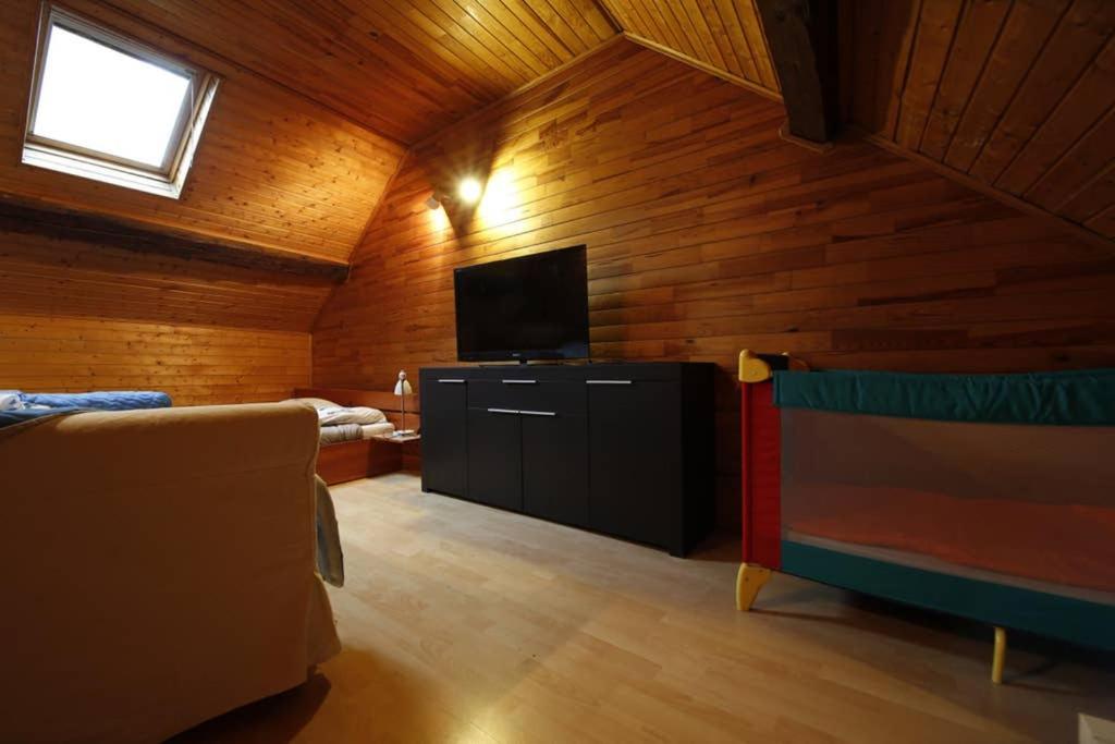 ein Wohnzimmer mit einem TV und einem Sofa in der Unterkunft Appartement 2 pièces de 48 M2 in Aix-les-Bains