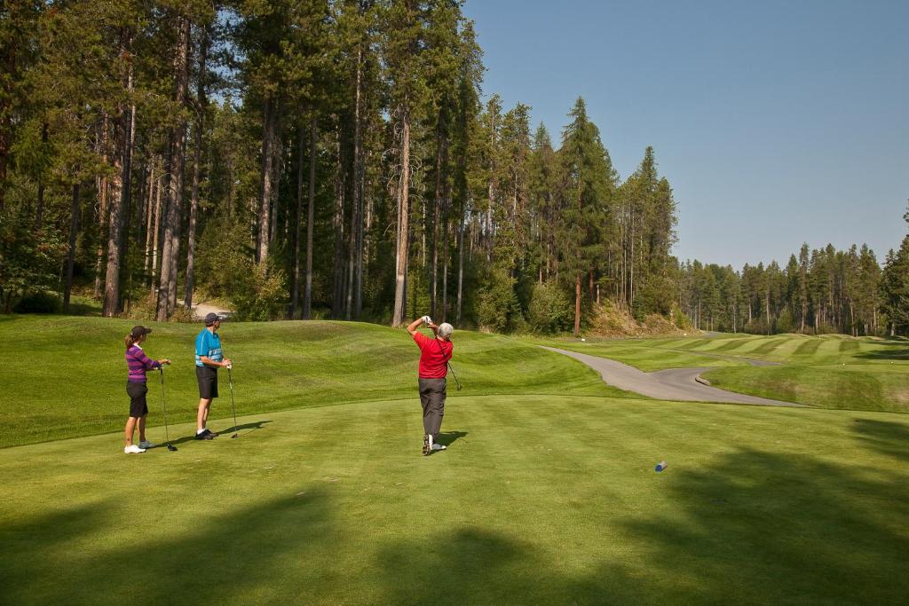 Golf v hotelu nebo okolí