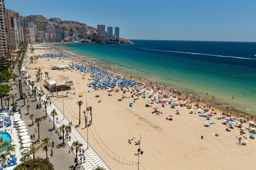 Zdjęcie z galerii obiektu Las Palmeras 15A w mieście Benidorm