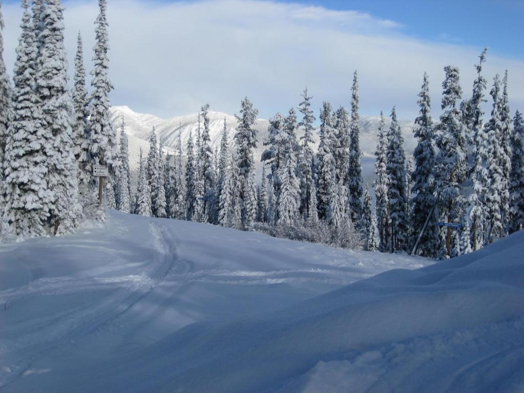 Polaris Lodge talvel