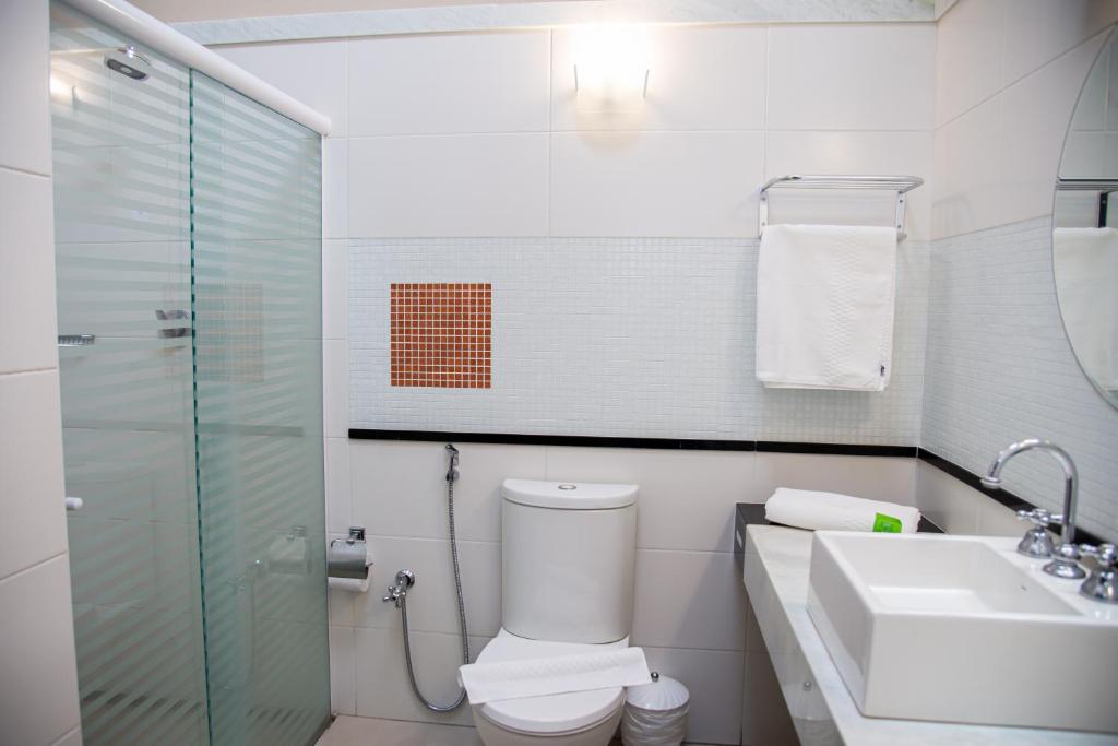  ibis Styles Rio Preto Monte Libano