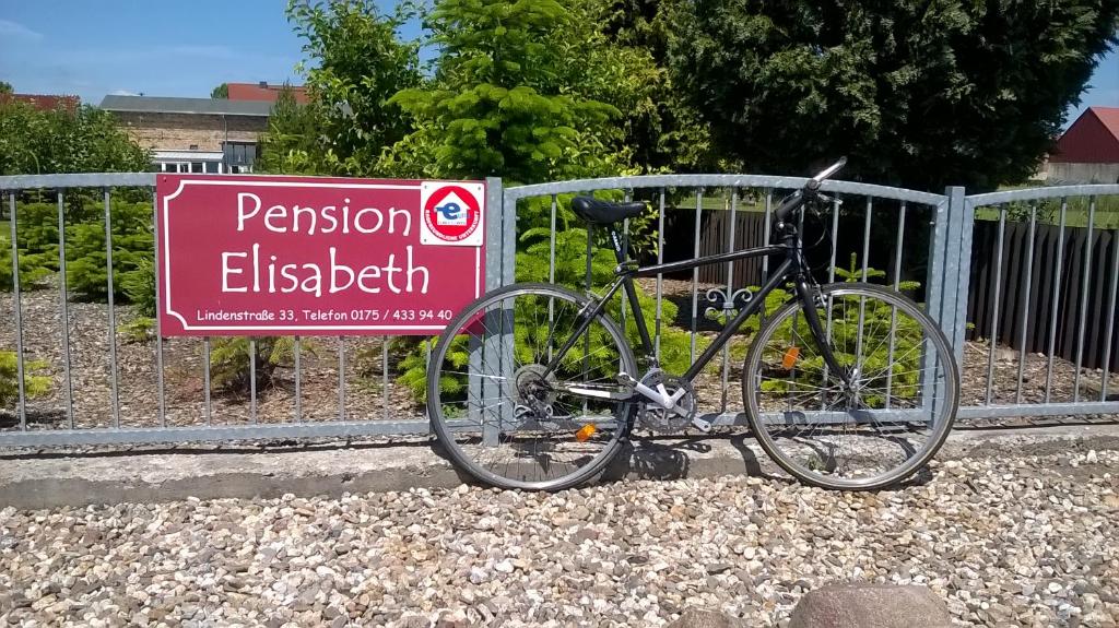 Jízda na kole v ubytování Pension Elisabeth am Elberadweg nebo okolí
