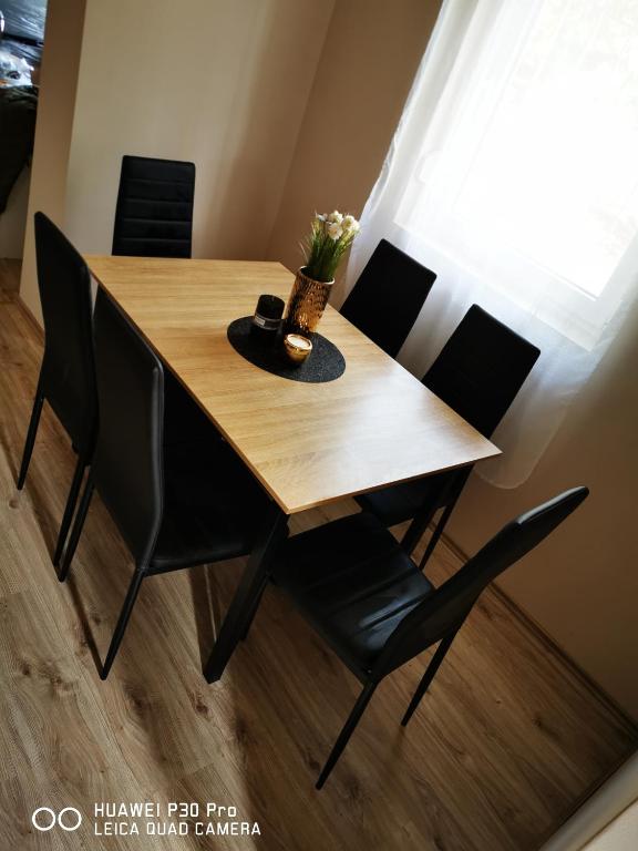 Fotografie z fotogalerie ubytování Renáta Apartman v Siofoku
