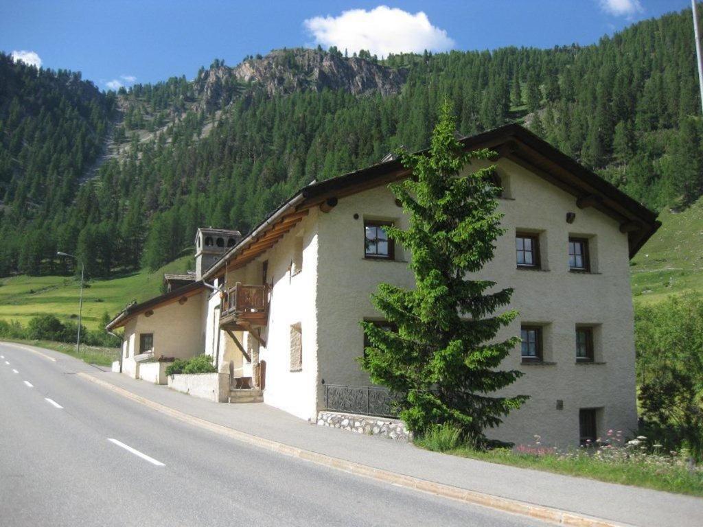 Příroda nedaleko apartmánu