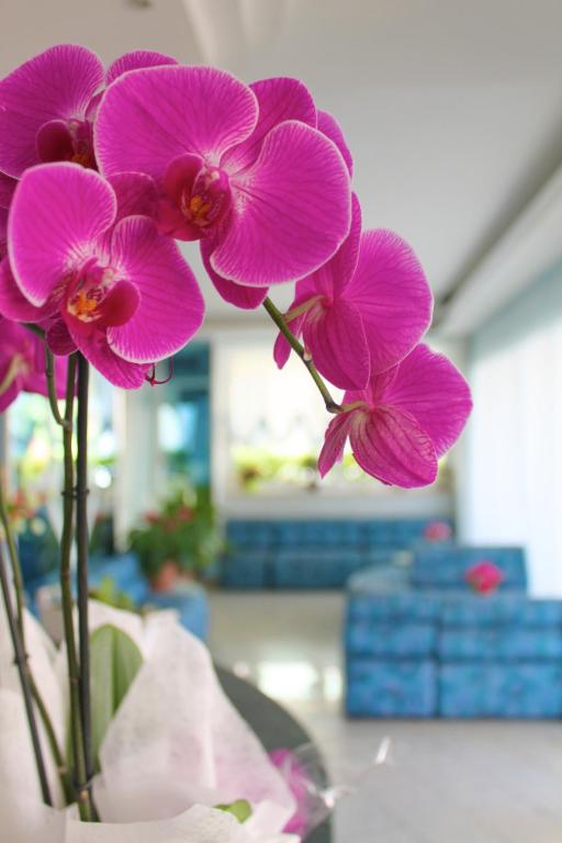 Hotel San Paolo - Resim 37