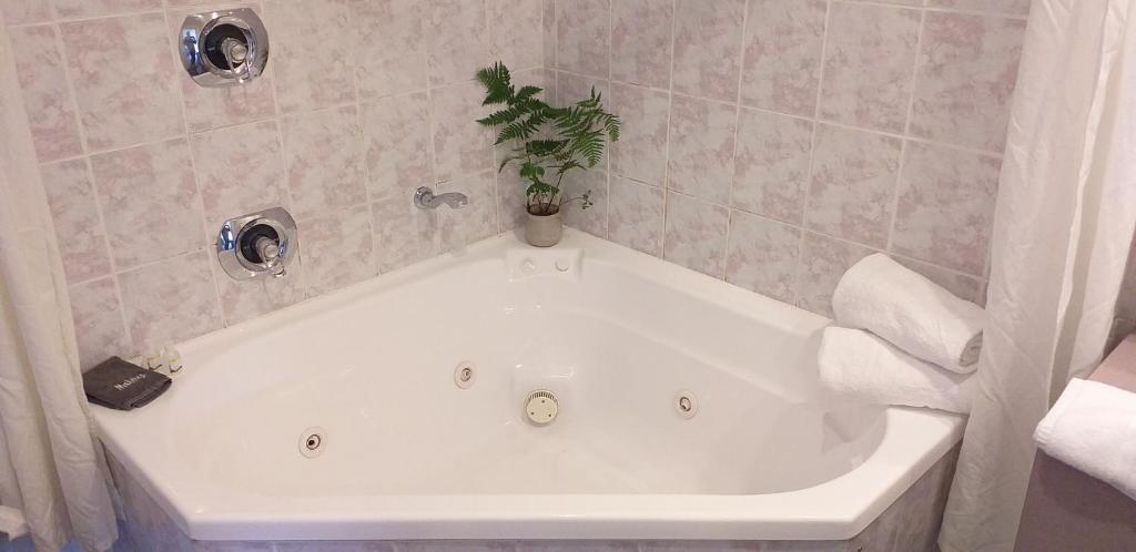 Shadzz Motel - Resim 8