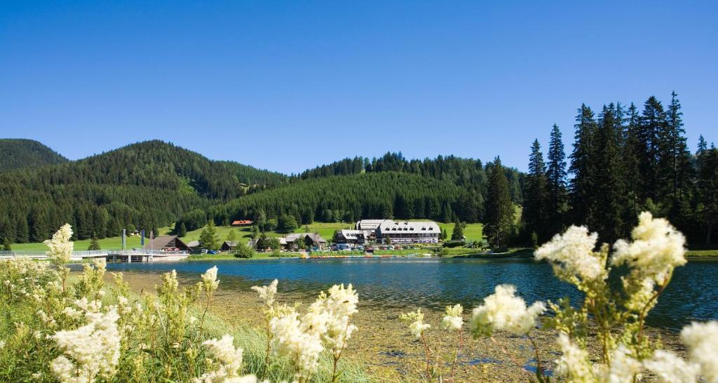 Blick auf einen See mit einem Gebäude im Hintergrund in der Unterkunft Hotel Teichwirt in Fladnitz an der Teichalm