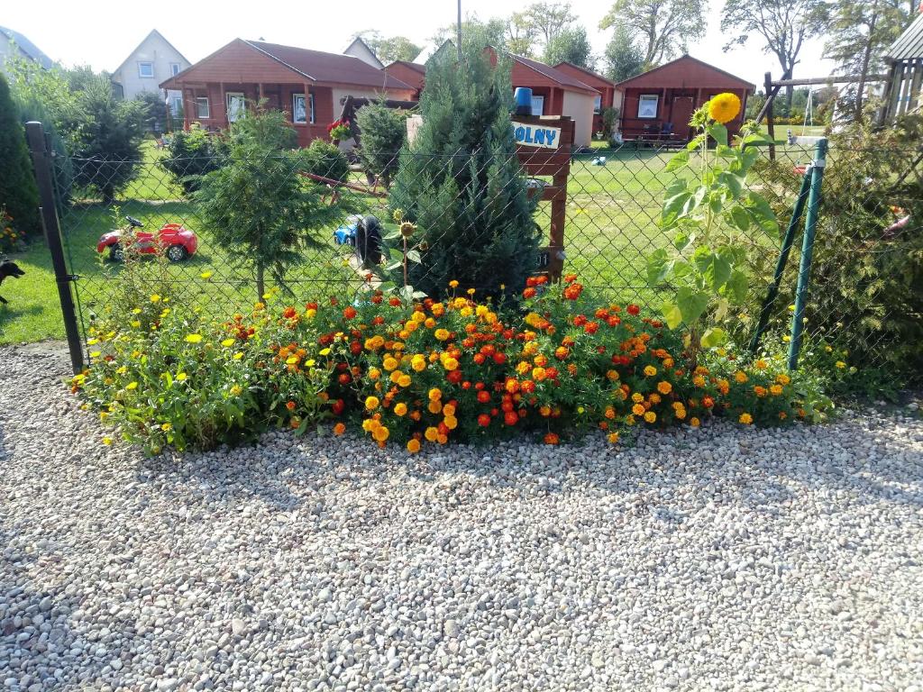 a garden with a bunch of flowers in a yard at Agroturystyka Domki Eden in Sarbinowo