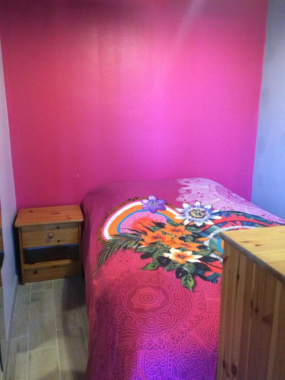 a bedroom with a bed with a pink wall at CHAMBRE CHEZ L' HABITANT SECTEUR LA RIZE in Vaulx-en-Velin