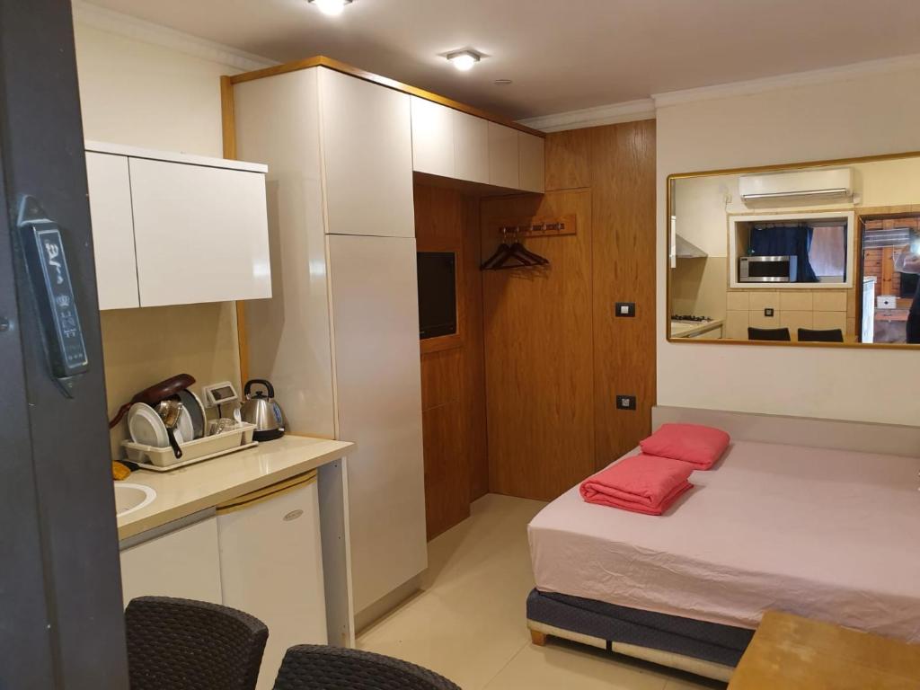 Kuchyň nebo kuchyňský kout v ubytování Shefer Guesthouse