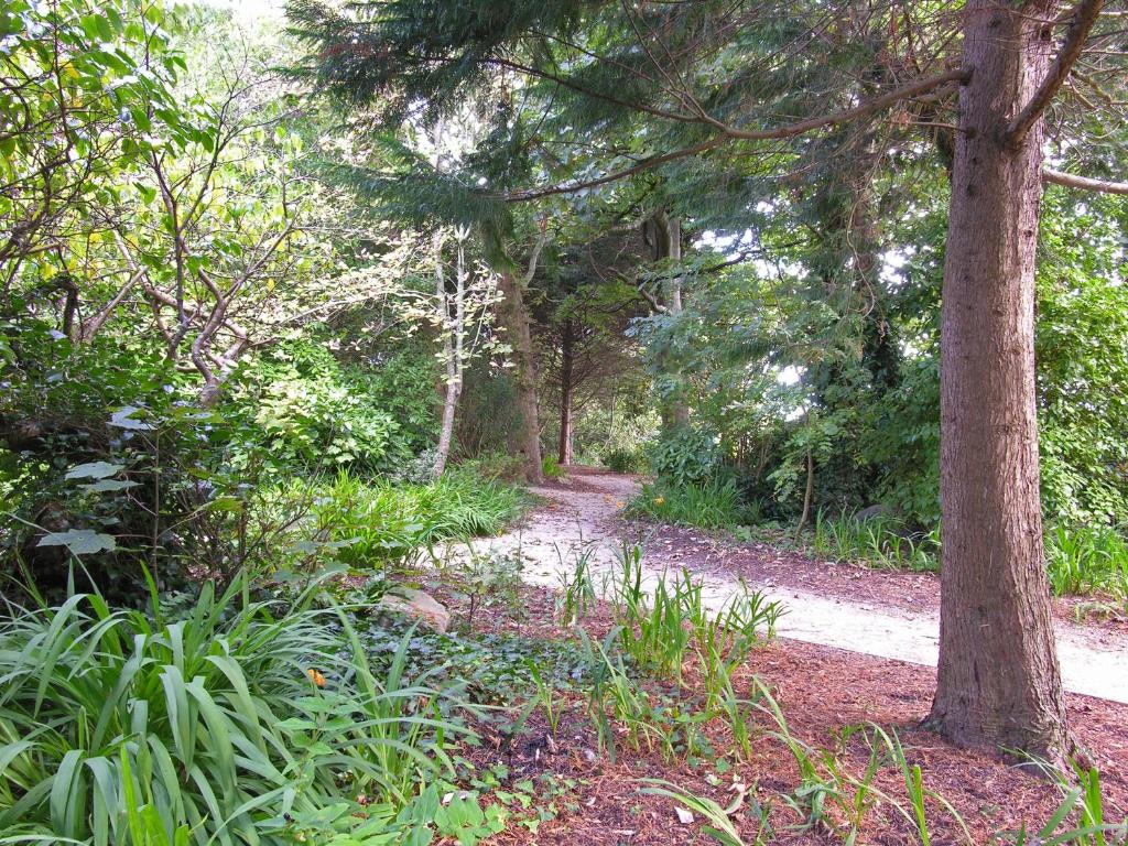 The Ardilaun Hotel - Resim 20