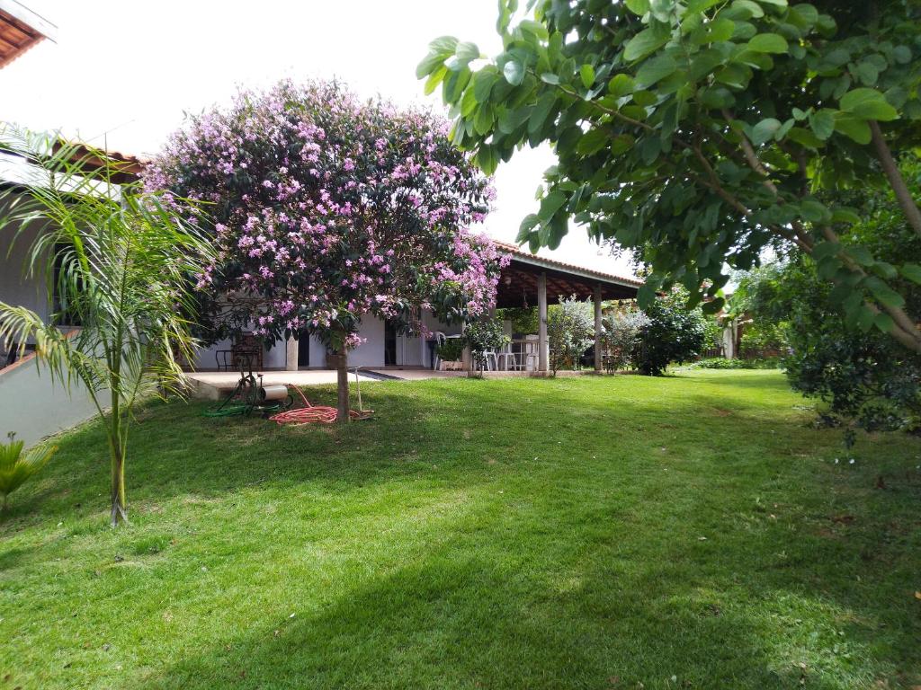 um quintal com uma árvore com flores cor-de-rosa em frente a uma casa em Ana Terra Barretos Casa de Campo em Barretos