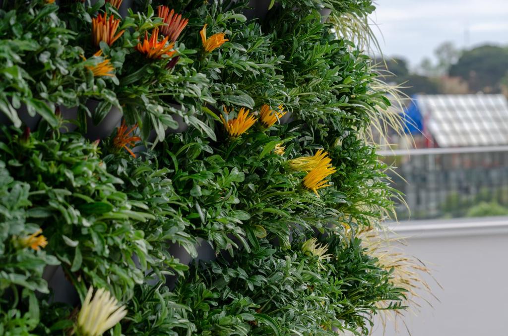 TURIM Boulevard Hotel - Resim 17