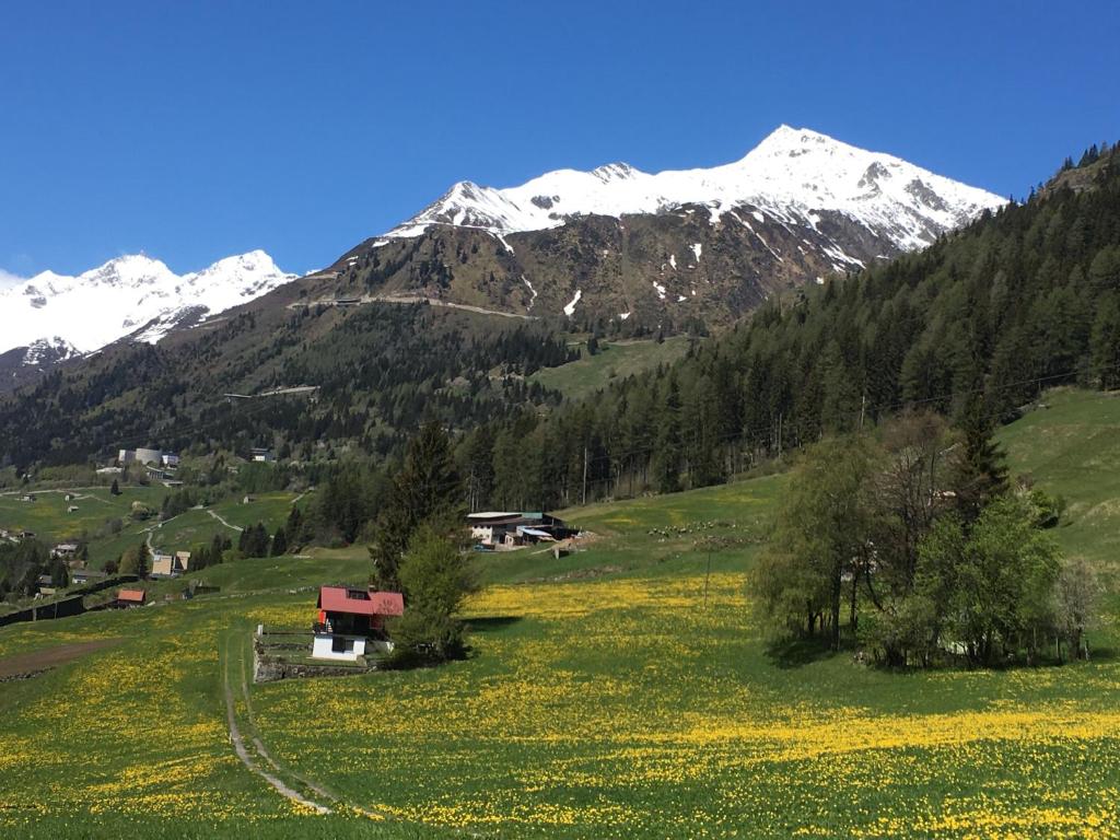 a field of yellow flowers with mountains in the background at B&B Gottardo in Airolo