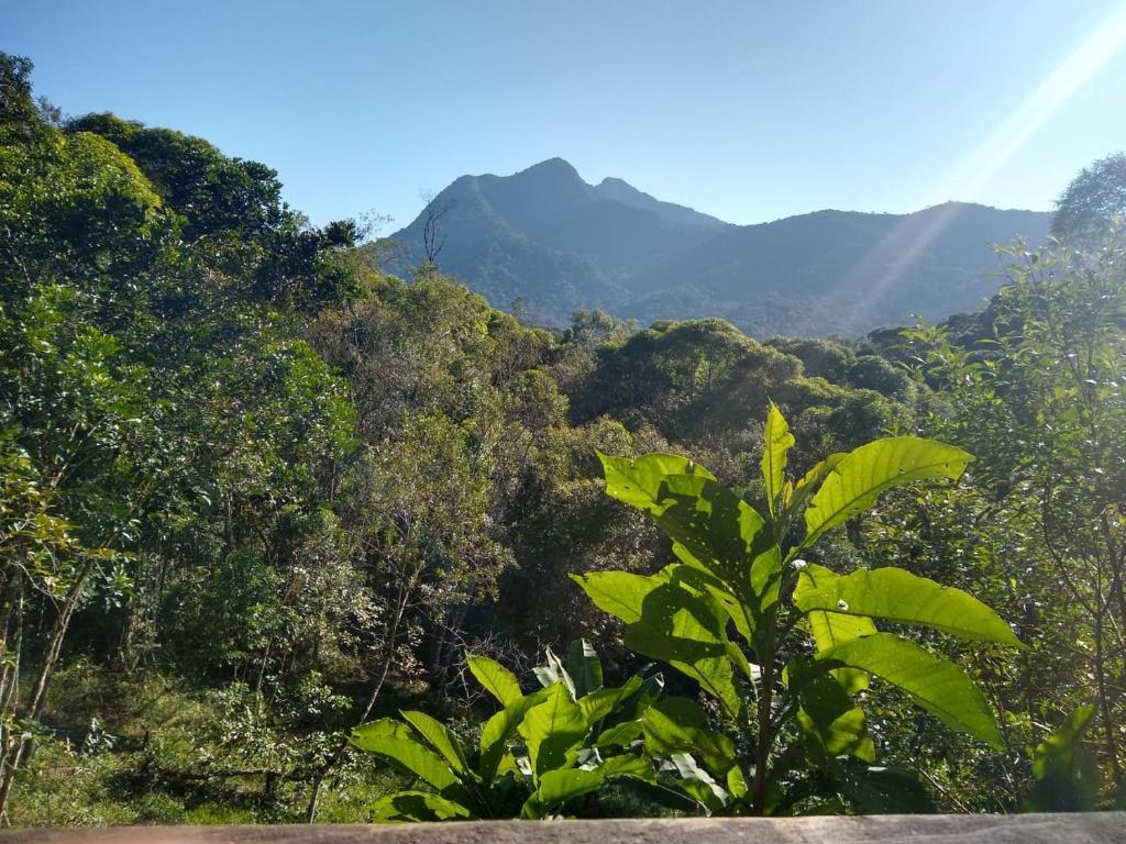 a view of a forest with mountains in the background at Hostel Vista Verde in Paraty