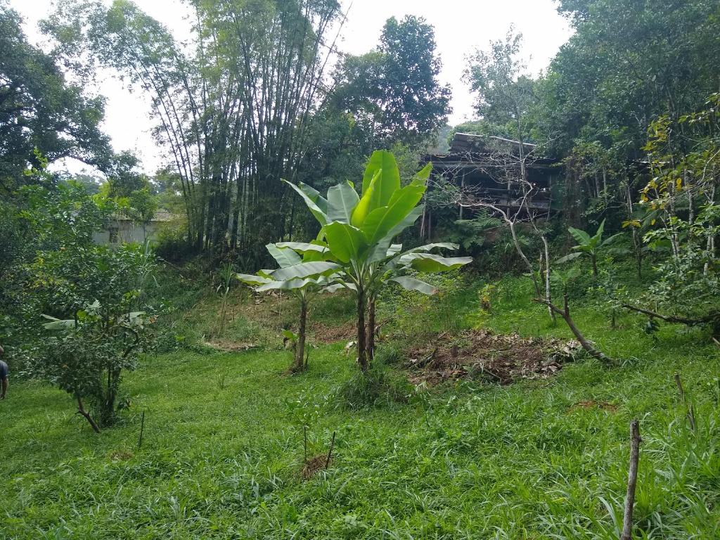 Hostel Vista Verde