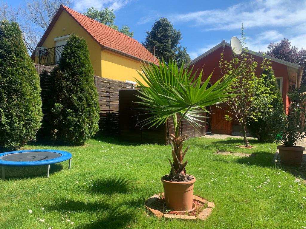 Vonkajšia záhrada v ubytovaní Gunarasi villa jacuzzival